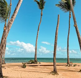 Туры в Доминикану 2026 из Москвы - цена на отдых от туроператора Coral Travel
