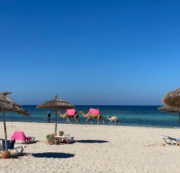 Туры в Тунис 2026 из Москвы - цена на отдых от туроператора Coral Travel