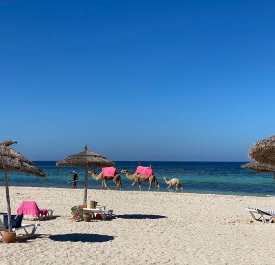 Туры в Тунис 2026 из Москвы - цена на отдых от туроператора Coral Travel